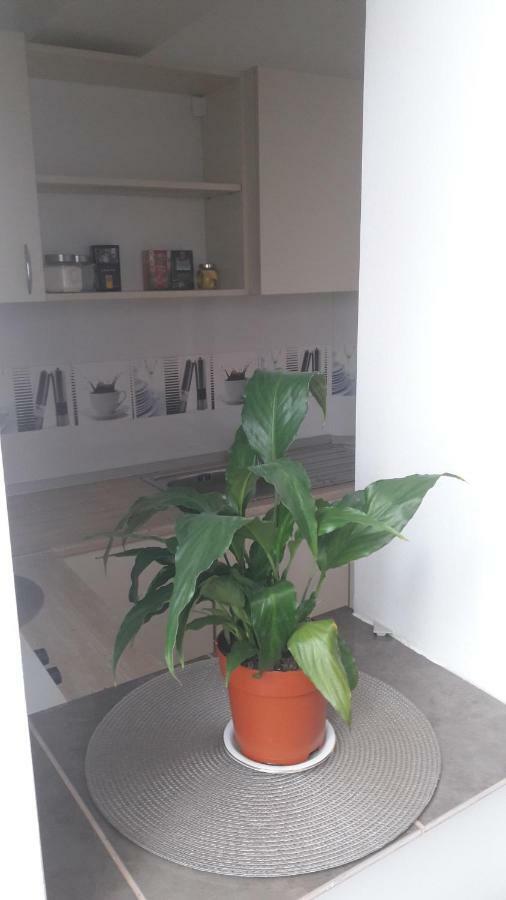 Melody Apartment Alba Iulia Buitenkant foto